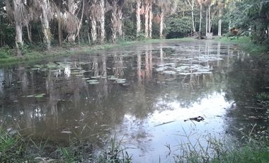VENDO EN EL CONDOMINIO LA FLORIDA LOTE DE 1396 METROS.