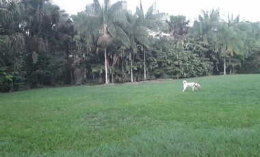VENDO EN EL CONDOMINIO LA FLORIDA LOTE DE 1396 METROS.
