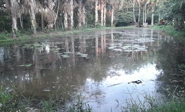 VENDO EN EL CONDOMINIO LA FLORIDA LOTE DE 1396 METROS.