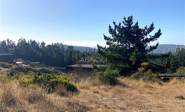 Sitio en Venta en Terrenos Alto Pupuya