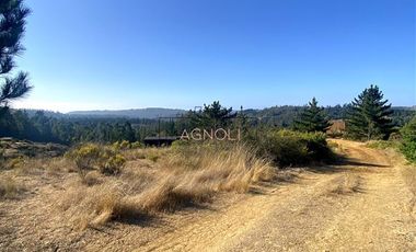 Sitio en Venta en Terrenos Alto Pupuya