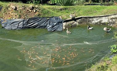 finca en venta en finca la rica. Cod V13738