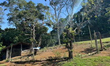 finca en venta en finca la rica. Cod V13738