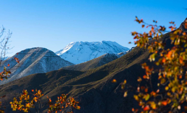 Parcela en Venta en El Manzano