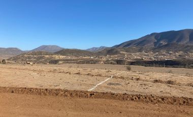 Vende parcelas en Proyecto Los Trigales del Elqui. Planas y semi planas. 5.000 m2. A 15 minutos de La Serena.
