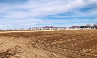 RANCHO AGRÍCOLA EQUIPADO EN VENTA $20,000,000.00