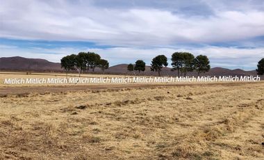 RANCHO AGRÍCOLA EQUIPADO EN VENTA $20,000,000.00