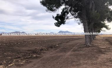 RANCHO AGRÍCOLA EQUIPADO EN VENTA $20,000,000.00