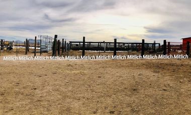 RANCHO AGRÍCOLA EQUIPADO EN VENTA $20,000,000.00