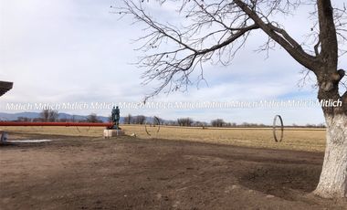 RANCHO AGRÍCOLA EQUIPADO EN VENTA $20,000,000.00
