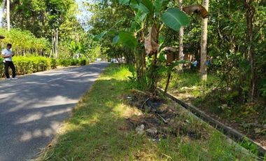 Rumah Hunian Nyaman Konsep Minimalis Modern Area Kulonprogo