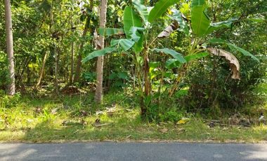 Rumah Hunian Nyaman Konsep Minimalis Modern Area Kulonprogo