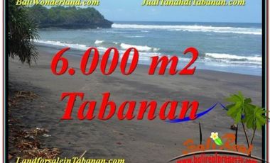 6.000m2 View laut & sawah Cuma Rp 4,5 jt/m Tabanan Selemadeg