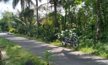 Tanah Kapling SHM, Borobudur Village Magelang Standar Perumahan