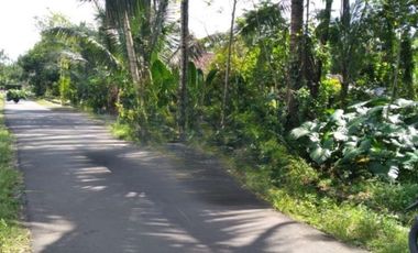 Tanah Kapling SHM, Borobudur Village Magelang Standar Perumahan