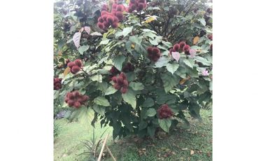 finca en venta en la vega. Cod V5099