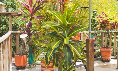 apartamento en venta en rio ancho. Cod V9053318