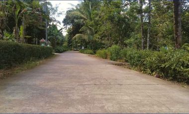 Cuma 70Jt-an: Tanah Murah Purworejo dekat Kampus UMP