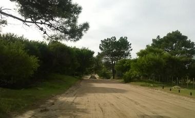 Las Gaviotas, Venta Terreno/Lote Multifamiliar