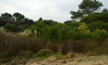 Las Gaviotas, Venta Terreno/Lote Multifamiliar