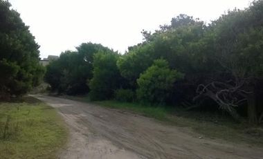 Las Gaviotas, Venta Terreno/Lote Multifamiliar