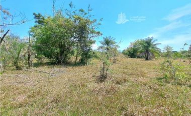 VENDO FINCA DE 25 HECTAREAS + COCHEA