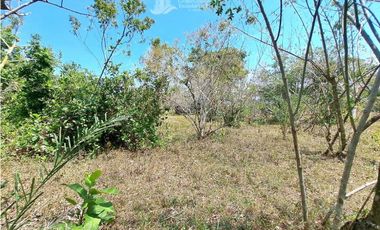 VENDO FINCA DE 25 HECTAREAS + COCHEA