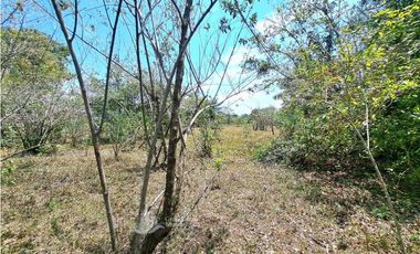 VENDO FINCA DE 25 HECTAREAS + COCHEA