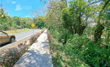 VENDO FINCA DE 25 HECTAREAS + COCHEA