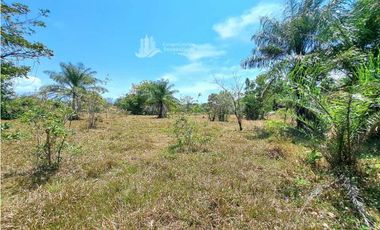 VENDO FINCA DE 25 HECTAREAS + COCHEA