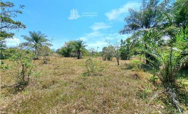 VENDO FINCA DE 25 HECTAREAS + COCHEA