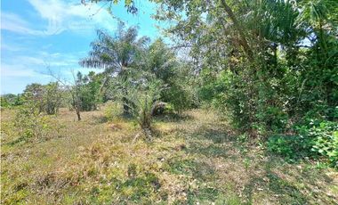 VENDO FINCA DE 25 HECTAREAS + COCHEA