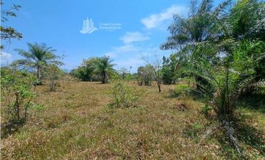 VENDO FINCA DE 25 HECTAREAS + COCHEA
