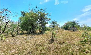 VENDO FINCA DE 25 HECTAREAS + COCHEA