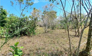 VENDO FINCA DE 25 HECTAREAS + COCHEA