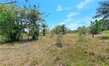 VENDO FINCA DE 25 HECTAREAS + COCHEA