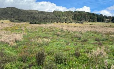 FINCA LA CALERA  60 FANEGADAS