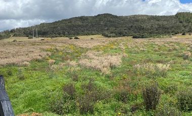 FINCA LA CALERA  60 FANEGADAS