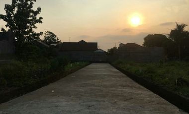 Tanah Murah Di Ciomas Bogor