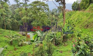 FINCA EN VENTA EN ALTO DEL NUDO/DOSQUEBRADAS