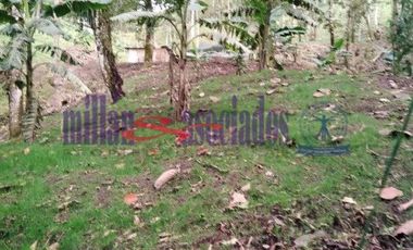 FINCA EN VENTA EN ALTO DEL NUDO/DOSQUEBRADAS