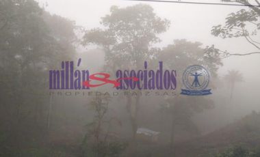 FINCA EN VENTA EN ALTO DEL NUDO/DOSQUEBRADAS