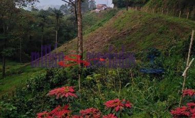 FINCA EN VENTA EN ALTO DEL NUDO/DOSQUEBRADAS