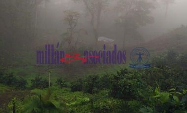 FINCA EN VENTA EN ALTO DEL NUDO/DOSQUEBRADAS