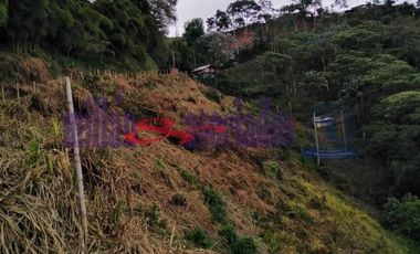 FINCA EN VENTA EN ALTO DEL NUDO/DOSQUEBRADAS