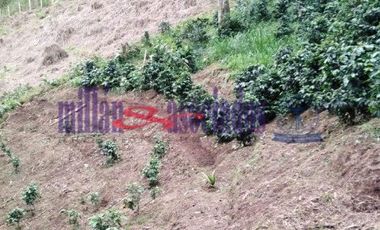 FINCA EN VENTA EN ALTO DEL NUDO/DOSQUEBRADAS