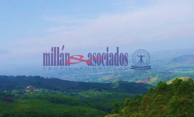 FINCA EN VENTA EN ALTO DEL NUDO/DOSQUEBRADAS