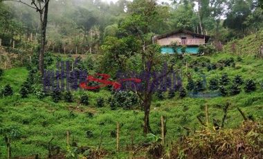 FINCA EN VENTA EN ALTO DEL NUDO/DOSQUEBRADAS
