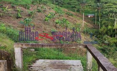 FINCA EN VENTA EN ALTO DEL NUDO/DOSQUEBRADAS