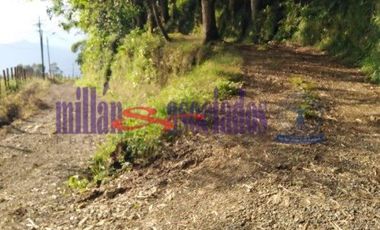 FINCA EN VENTA EN ALTO DEL NUDO/DOSQUEBRADAS